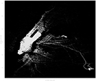 Portfolio/PolaroidPhotobarGallery2/images/Cool Maps/pickupJune.jpg